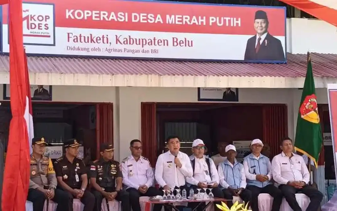 KDMP Fatuketi Belu: Koperasi Percontohan Perbatasan yang Menjembatani Ketahanan Pangan dan Perdagangan Lintas Negara